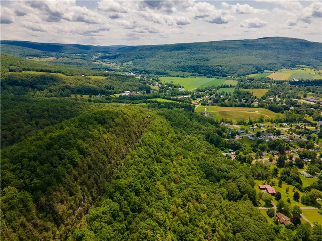 $475,000 | L16 MT Path, Middleburgh, NY 12122