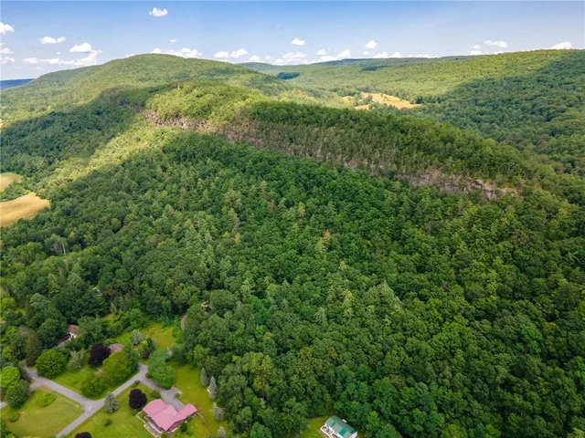 $475,000 | L16 MT Path, Middleburgh, NY 12122