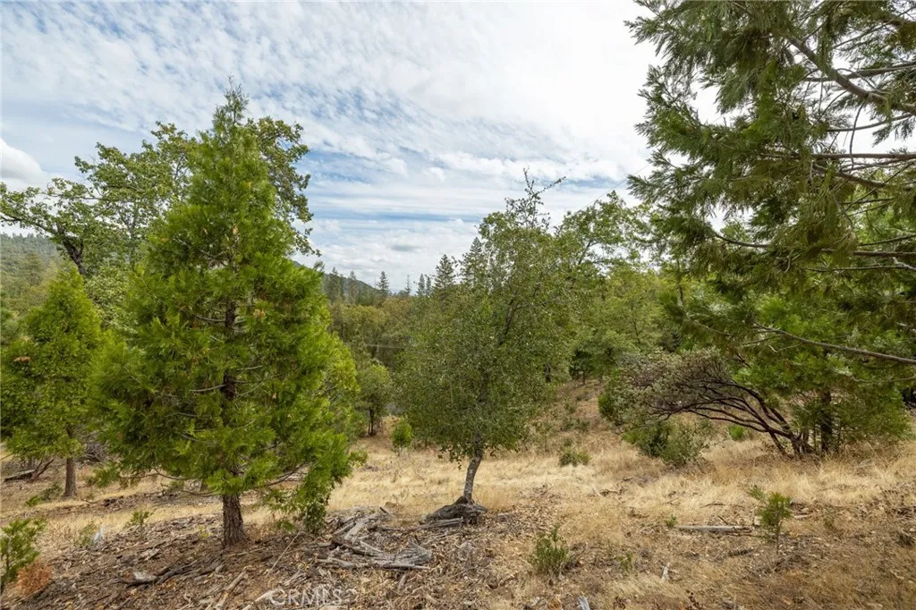 26 Timberview Road North Fork, CA 93643 - Photo 45 of 60