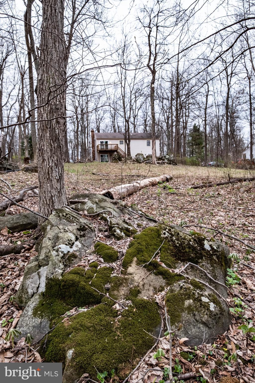 4249 Freezeland Road Linden, VA 22642 - Photo 10 of 54 Spacious front and rear yards!