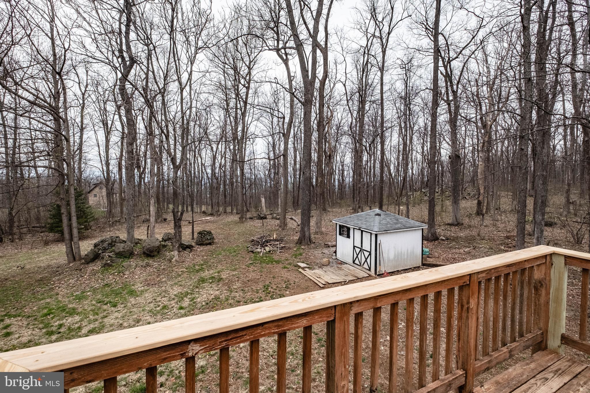4249 Freezeland Road Linden, VA 22642 - Photo 12 of 54 Rear shed.