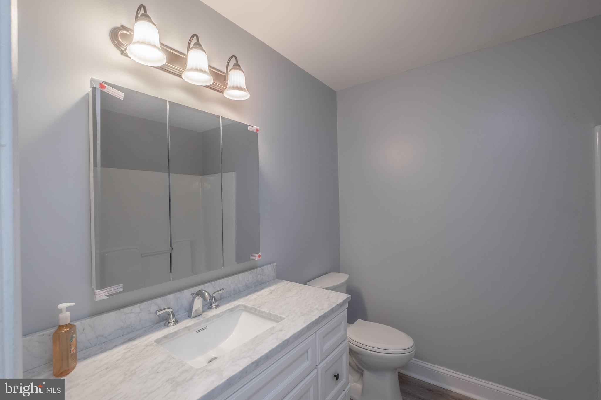 4249 Freezeland Road Linden, VA 22642 - Photo 23 of 54 Hall bathroom