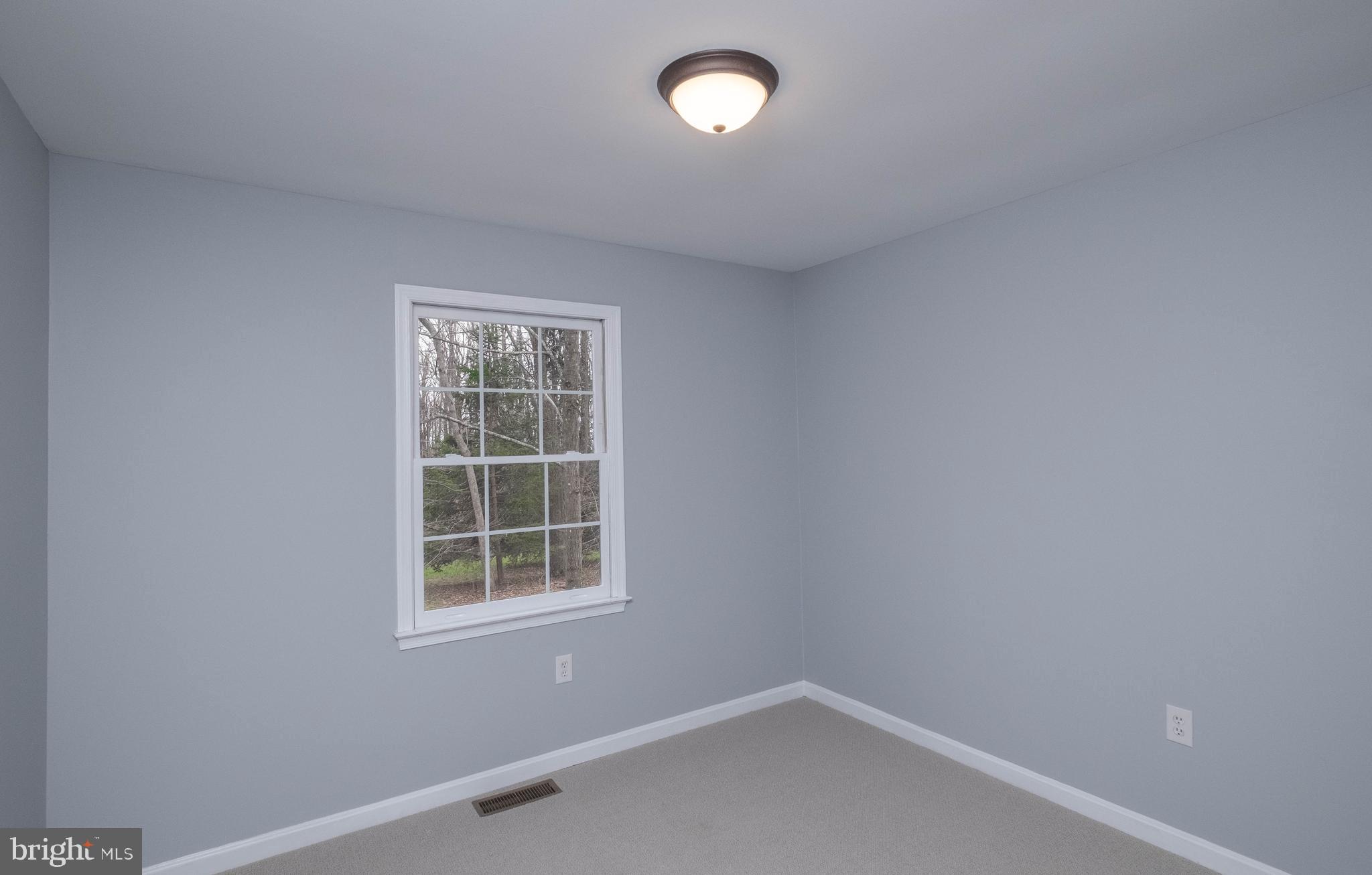 4249 Freezeland Road Linden, VA 22642 - Photo 28 of 54 3rd bedroom