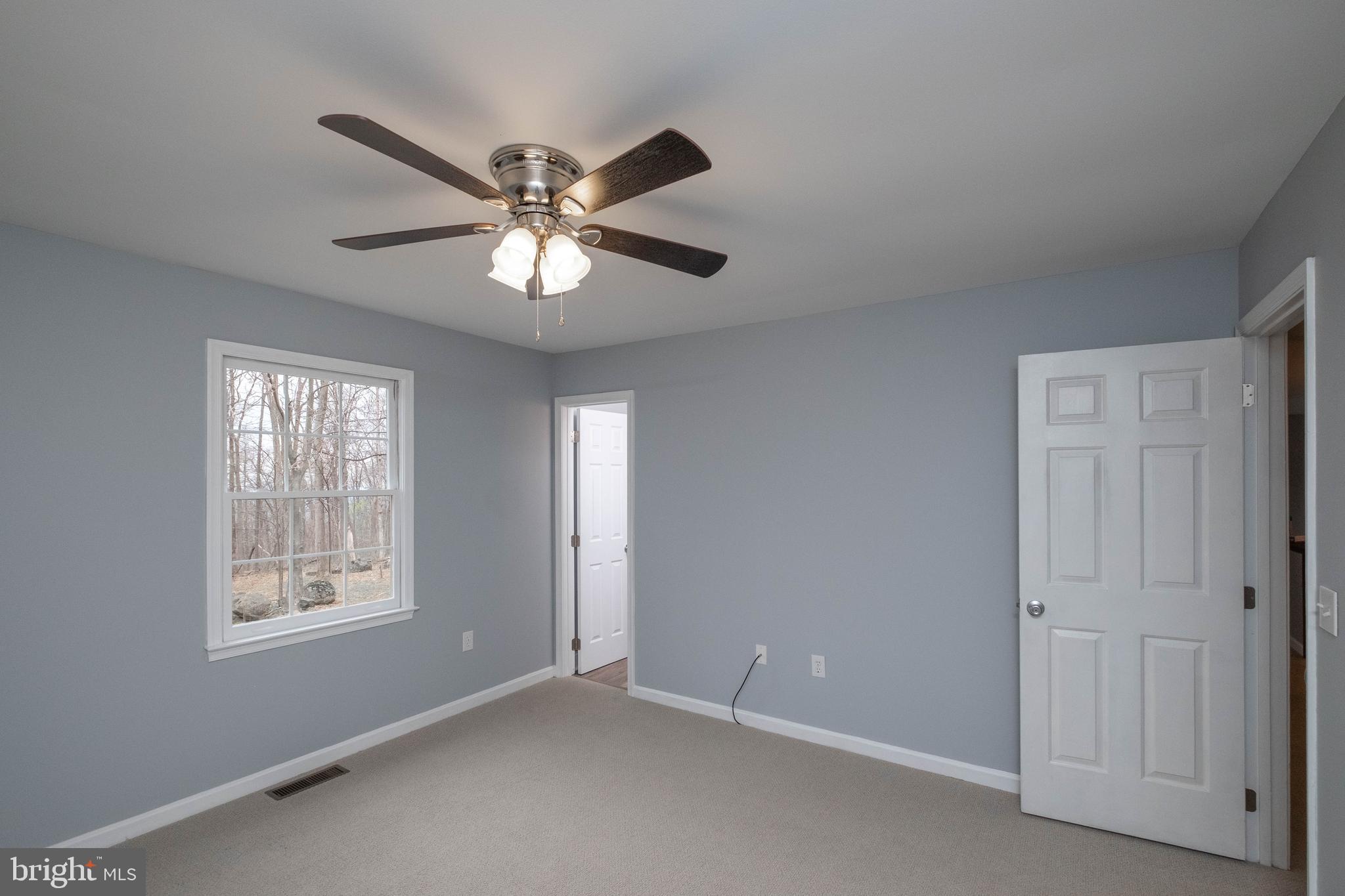 4249 Freezeland Road Linden, VA 22642 - Photo 31 of 54 Master