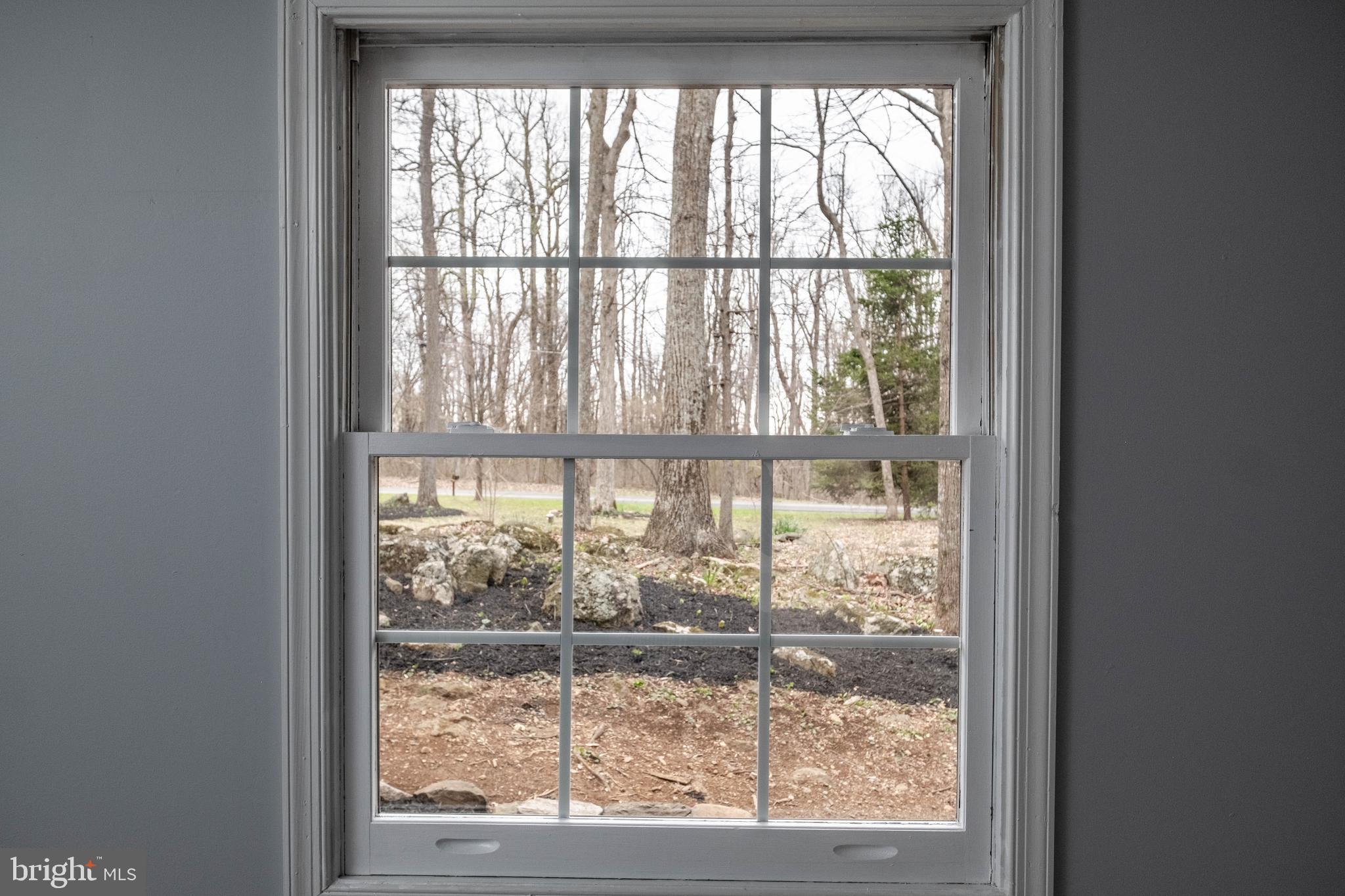 4249 Freezeland Road Linden, VA 22642 - Photo 43 of 54 Window-filled basement offers so much light!