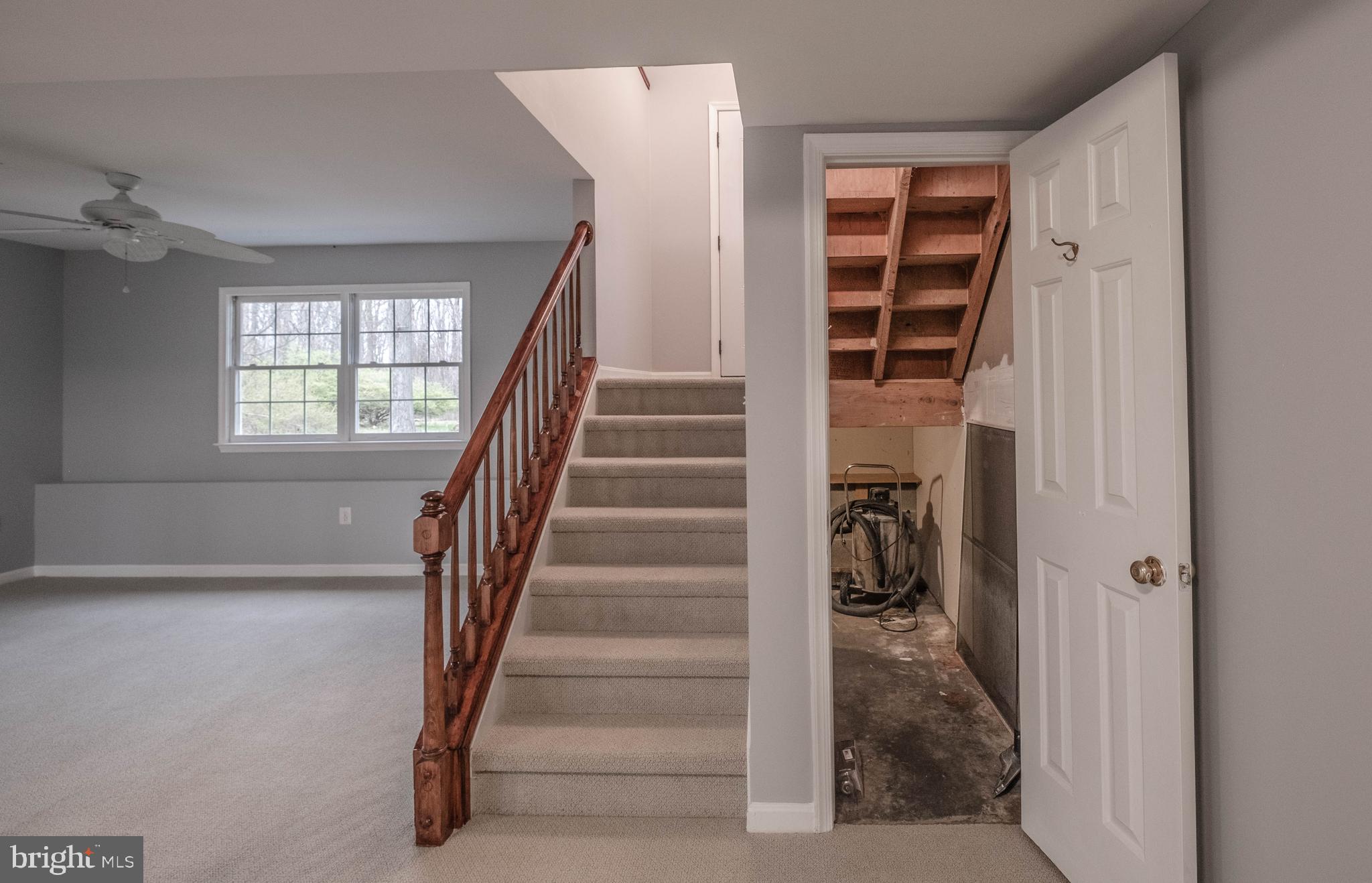 4249 Freezeland Road Linden, VA 22642 - Photo 44 of 54 Extra storage under both sets of stairs.