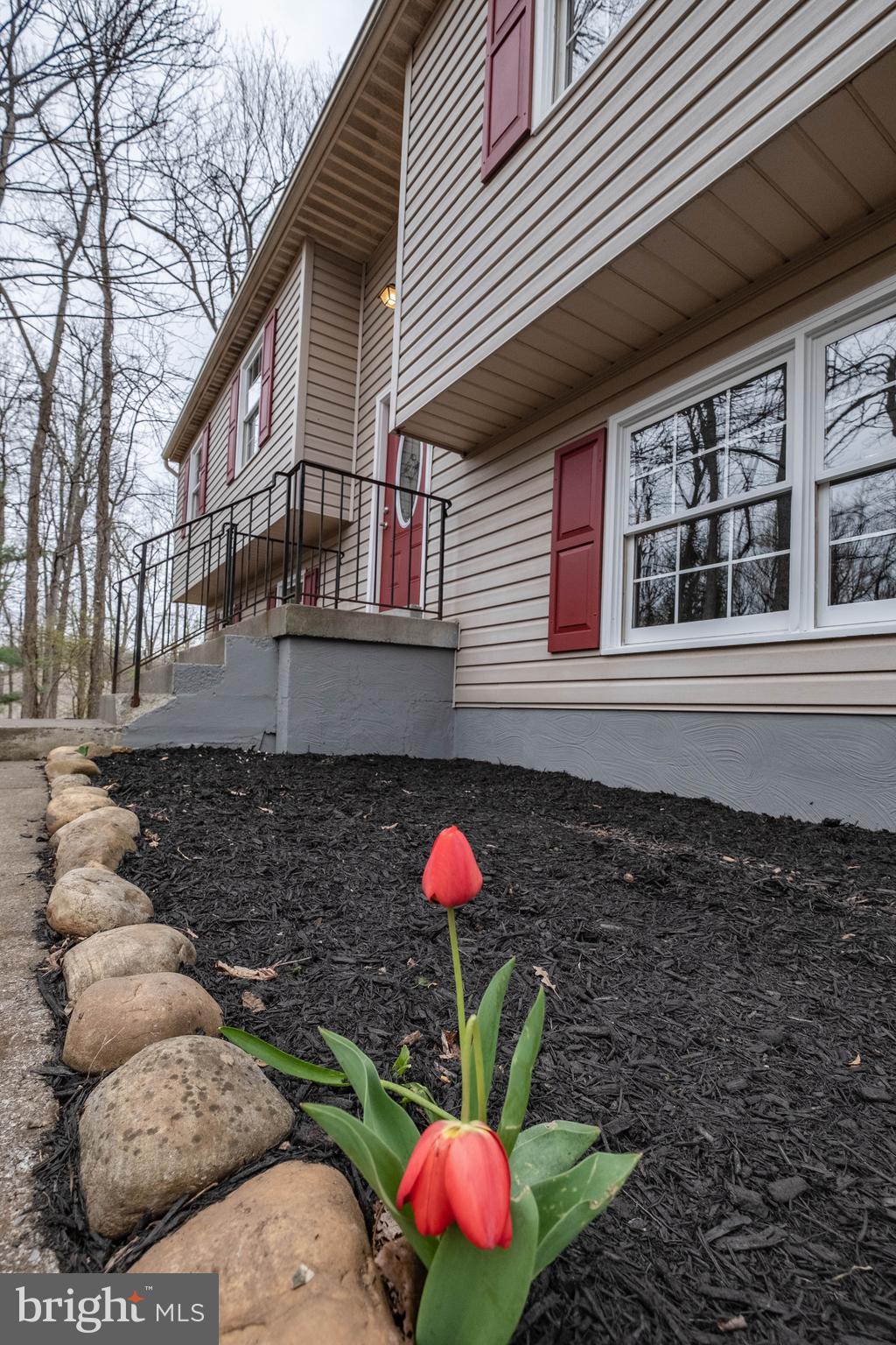 4249 Freezeland Road Linden, VA 22642 - Photo 46 of 54 Fresh paint and landscaping!