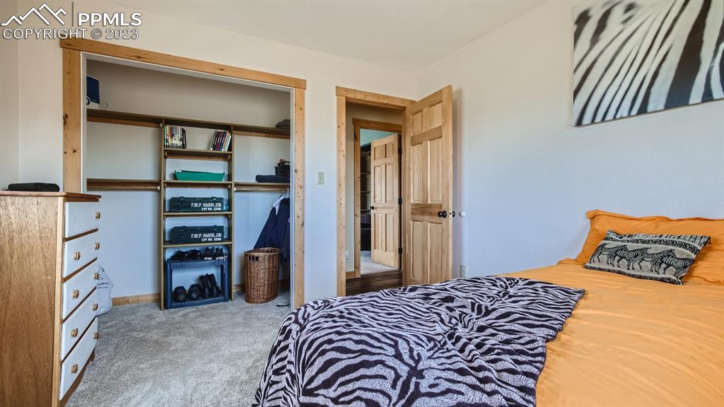 29 Ridge Point Circle Divide, CO 80814 - Photo 33 of 50 a bedroom with a bed and a walk in closet