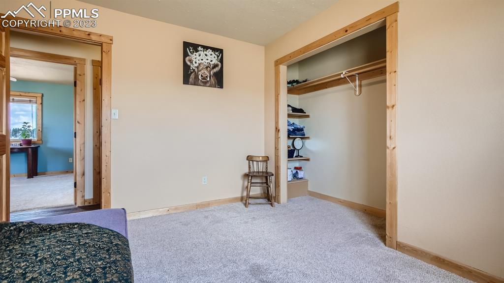 29 Ridge Point Circle Divide, CO 80814 - Photo 34 of 50 a view of an empty room