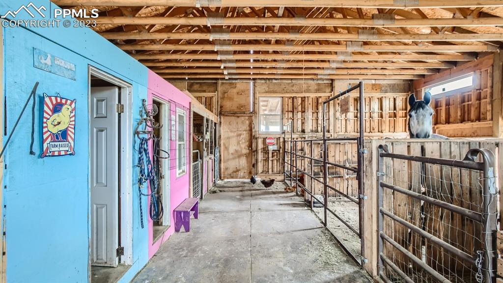 29 Ridge Point Circle Divide, CO 80814 - Photo 37 of 50 a view of storage and utility room