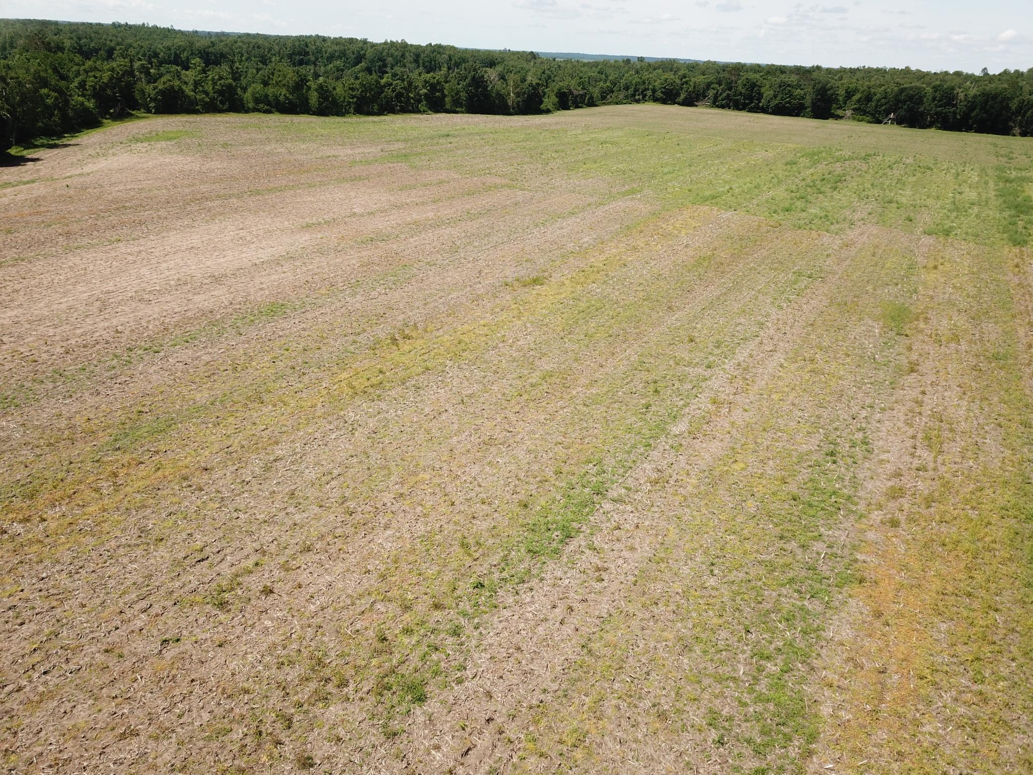 Tbd Boot Lake Road Southwest Bemidji, MN 56601 - Photo 19 of 55