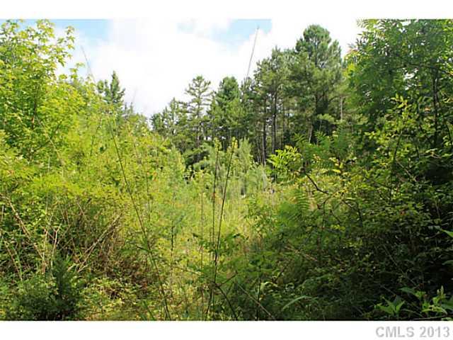 27 Sadlers Ridge Road, Unit 27 Indian Land, SC 29707 - Photo 3 of 11 a view of a lush green forest