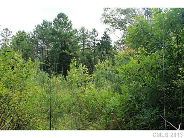 27 Sadlers Ridge Road, Unit 27 Indian Land, SC 29707 - Photo 5 of 11 a view of a lush green forest