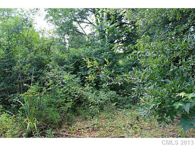 27 Sadlers Ridge Road, Unit 27 Indian Land, SC 29707 - Photo 6 of 11 a view of a lush green forest