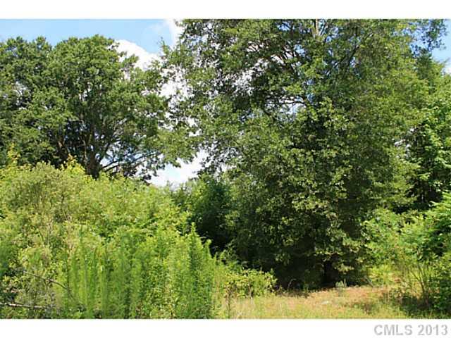 27 Sadlers Ridge Road, Unit 27 Indian Land, SC 29707 - Photo 7 of 11 a view of a lush green forest
