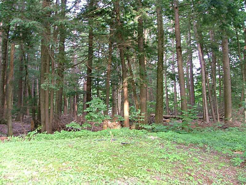172 Cottage Road Windham, ME 04062 - Photo 9 of 35 Back Yard. property goes back into...