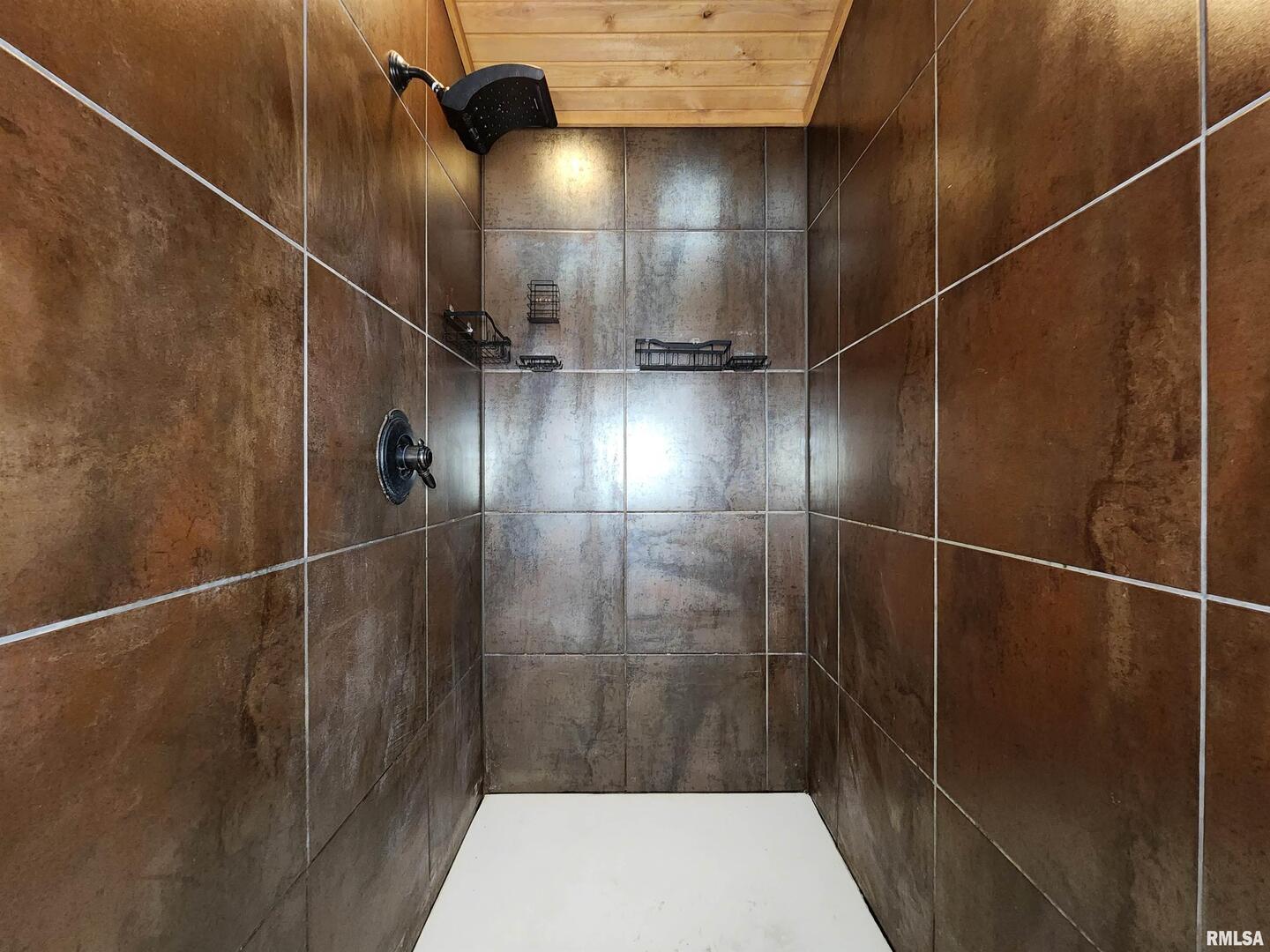 253 Ween Road De Soto, IL 62924 - Photo 18 of 56 a bathroom with a shower