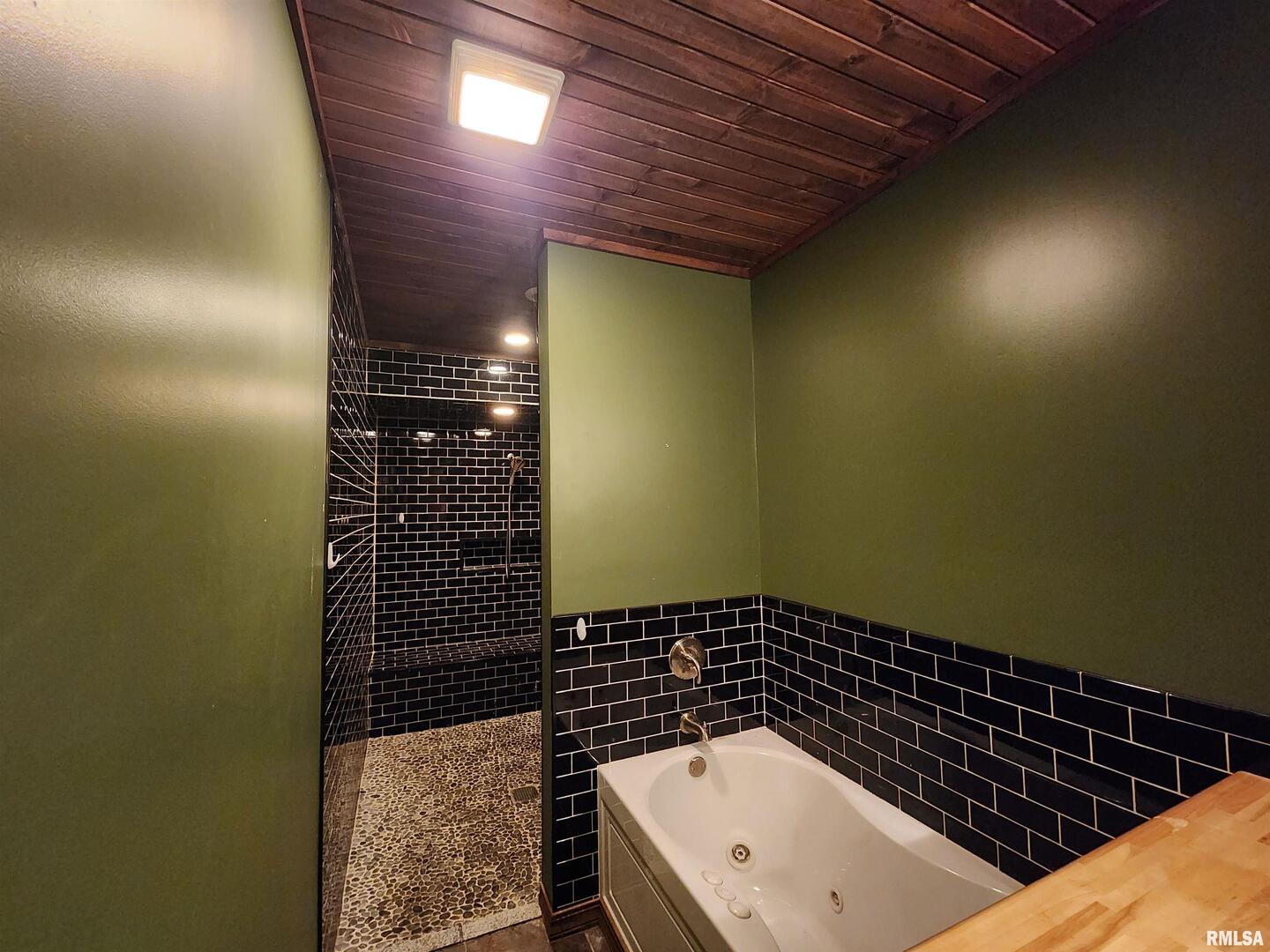 253 Ween Road De Soto, IL 62924 - Photo 33 of 56 a bathroom with a shower and a sink