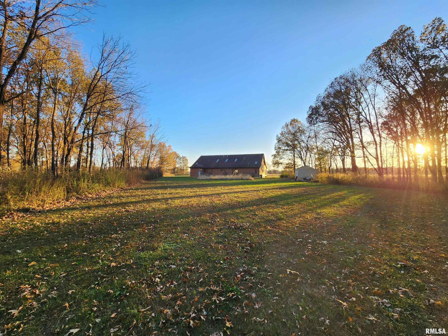 253 Ween Road De Soto, IL 62924 - Photo 42 of 56 a view of dirt yard with large trees