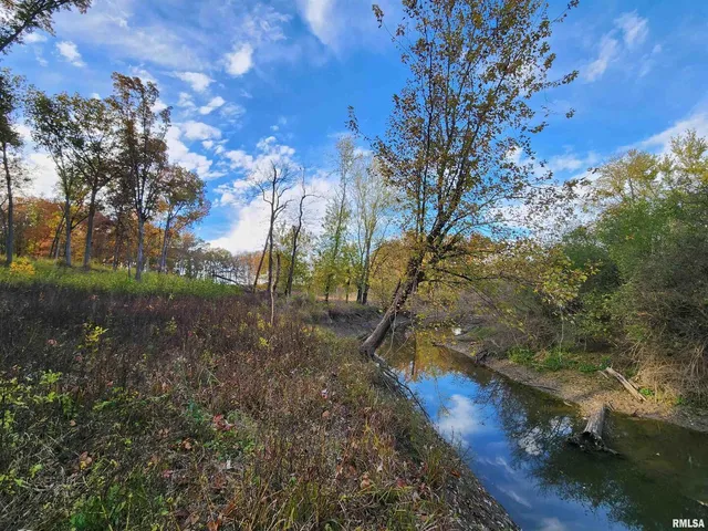 a view of backyard with tree