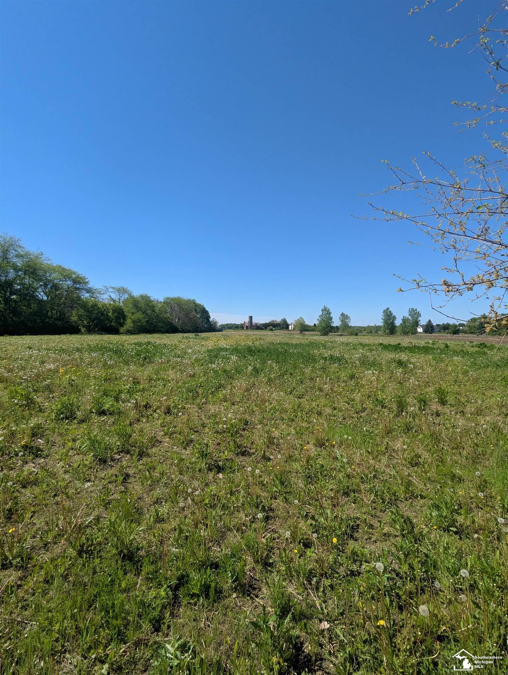 0 Dixon Road Monroe, MI 48161 - Photo 5 of 8