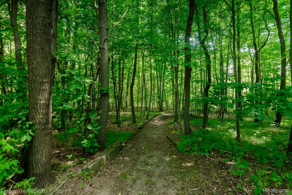 14951 Hannan Road Romulus, MI 48174 - Photo 2 of 55