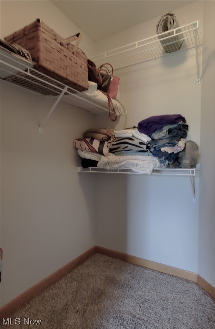 133 Matthew Drive Rittman, OH 44270 - Photo 25 of 35 Walk in closet