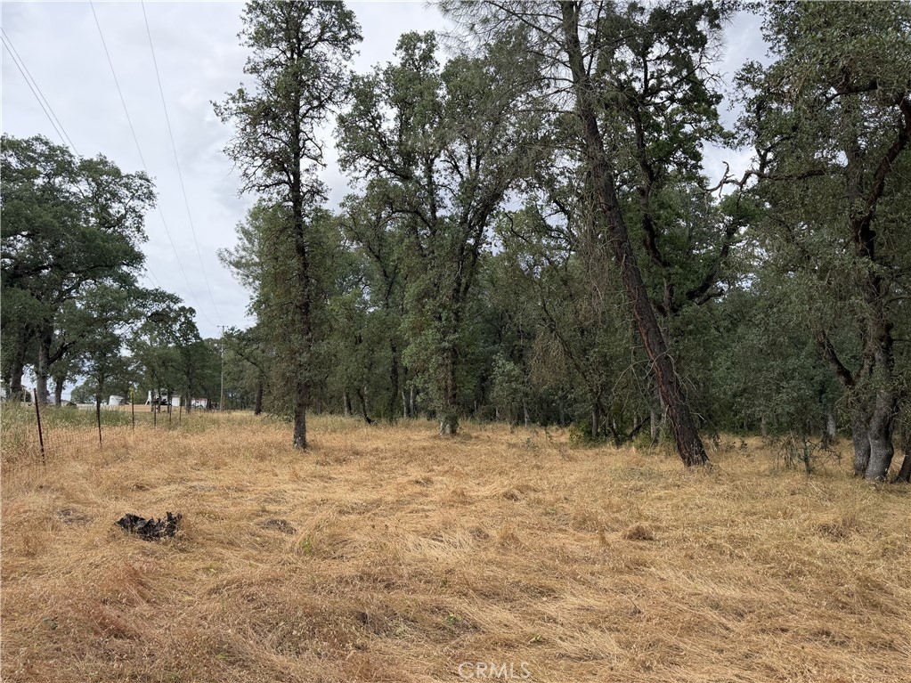 0 Ophir Road Oroville, CA 95966 - Photo 27 of 29