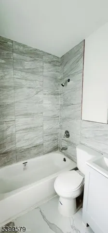 a bathroom with a toilet and a bathtub