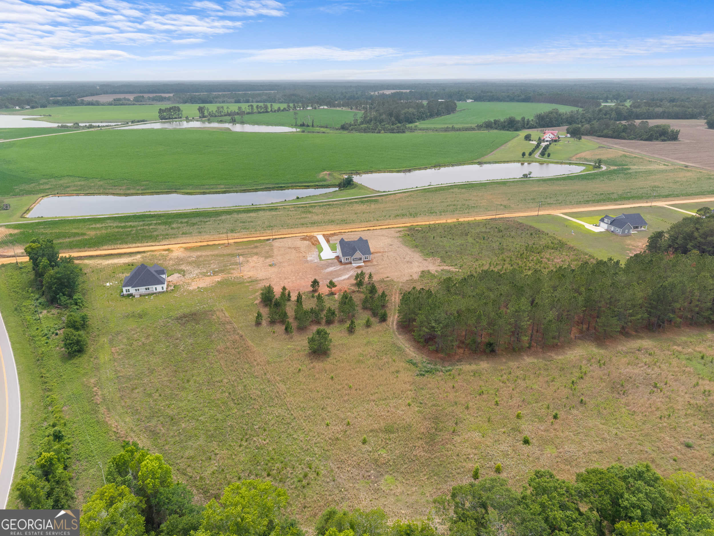 3167 Jason Franklin Road Register, GA 30452 - Photo 44 of 50