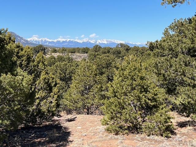 3 B Majors Ranch Road Walsenburg, CO 81089 - Photo 34 of 54