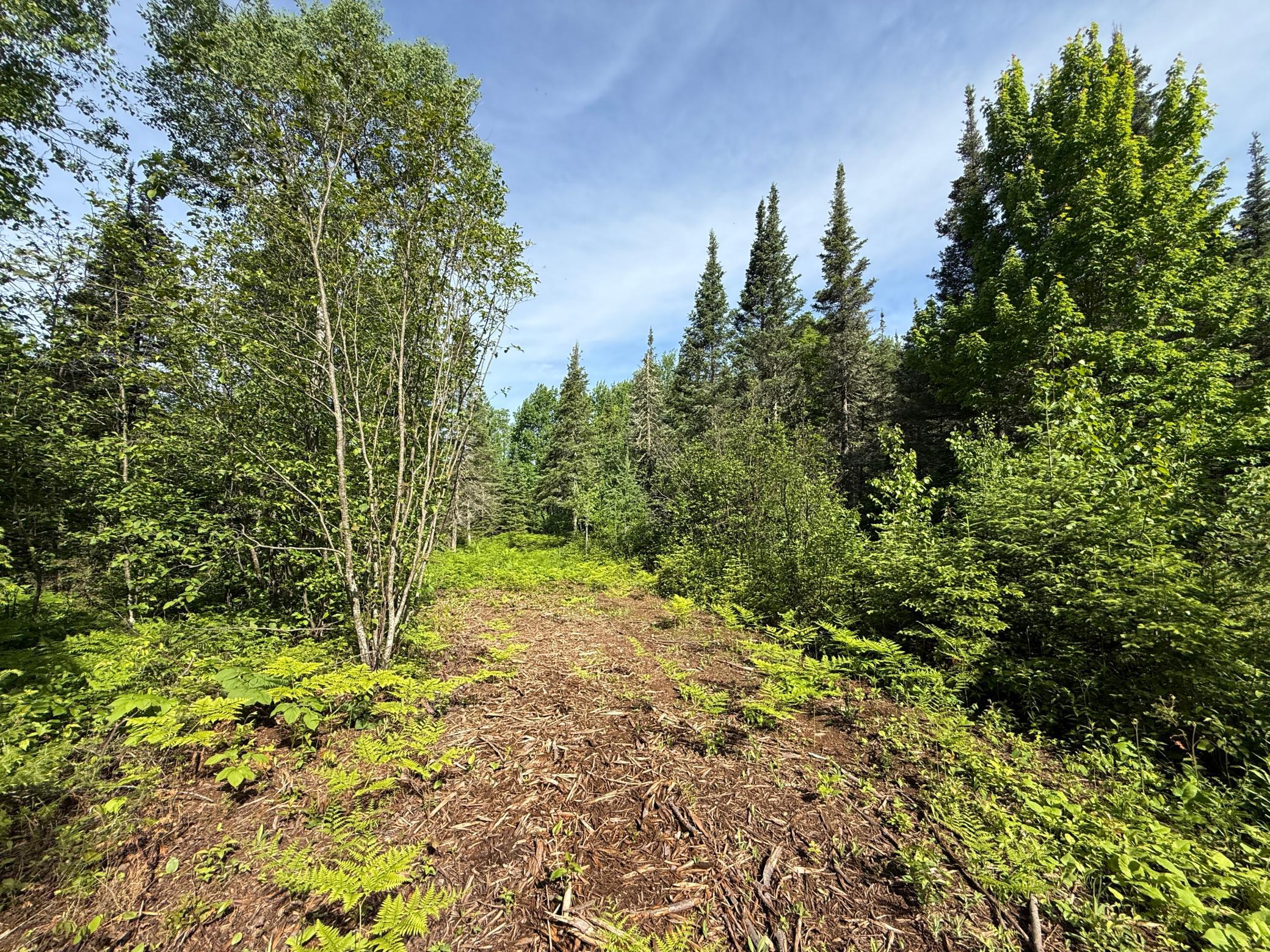 Tbd Arnold Road Duluth, MN 55803 - Photo 25 of 35