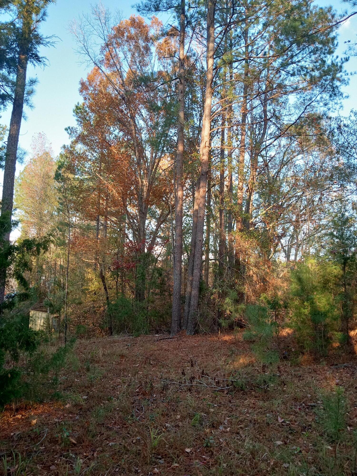 2722 Highway 23 Modoc, SC 29838 - Photo 52 of 57