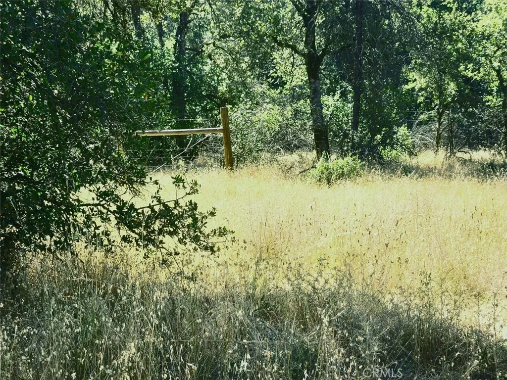 48 Rices Texas Hill Road Oregon House, CA 95962 - Photo 1 of 21 a view of lake view