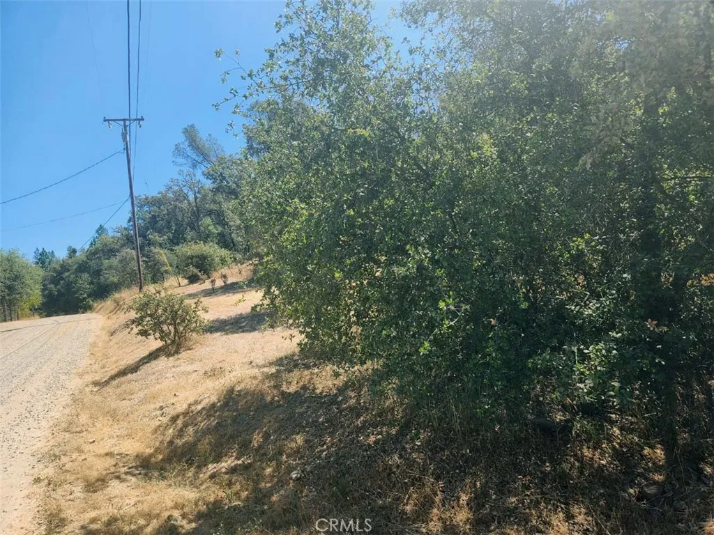 48 Rices Texas Hill Road Oregon House, CA 95962 - Photo 11 of 21