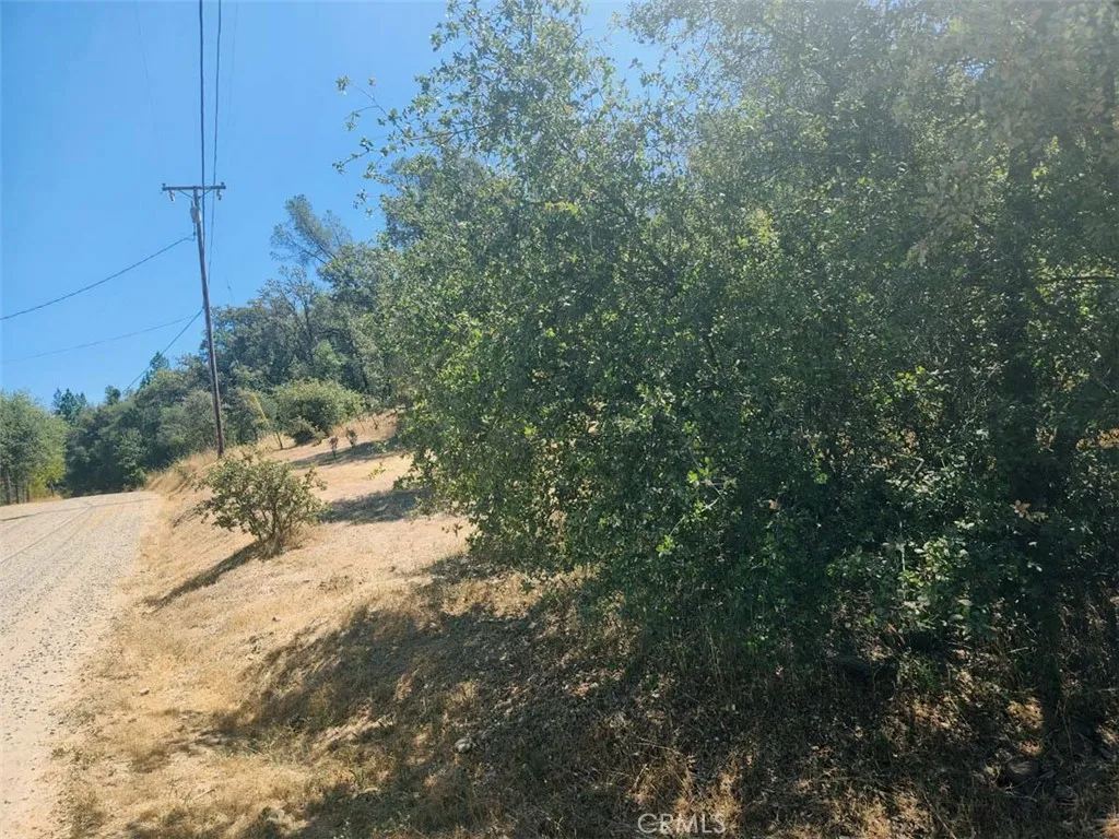 48 Rices Texas Hill Road Oregon House, CA 95962 - Photo 11 of 21