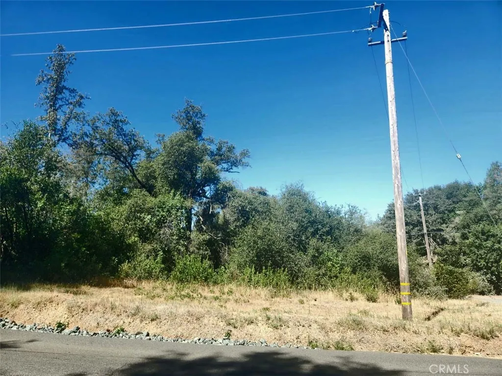 48 Rices Texas Hill Road Oregon House, CA 95962 - Photo 12 of 21 a view of a house with a yard