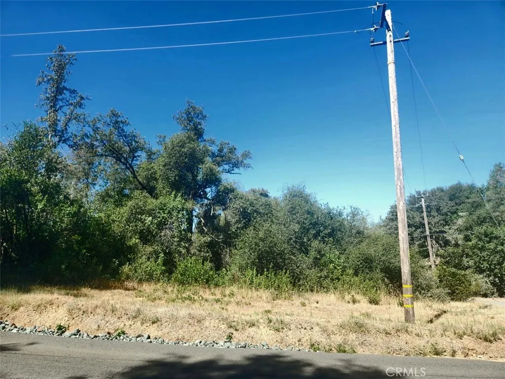 48 Rices Texas Hill Road Oregon House, CA 95962 - Photo 12 of 21 a view of a house with a yard