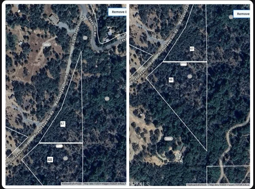 48 Rices Texas Hill Road Oregon House, CA 95962 - Photo 21 of 21 a picture of a tree