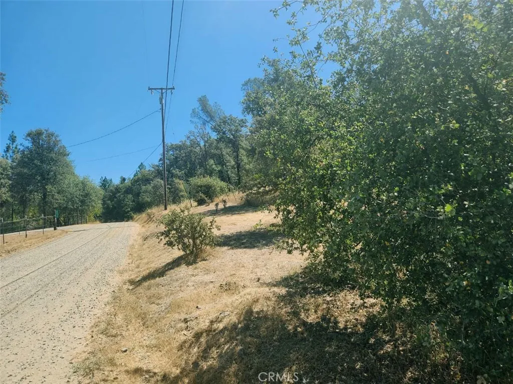 48 Rices Texas Hill Road Oregon House, CA 95962 - Photo 7 of 21