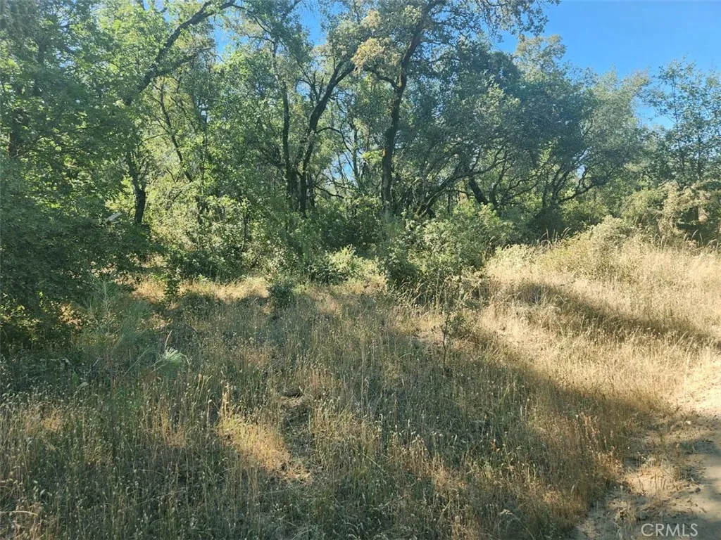 48 Rices Texas Hill Road Oregon House, CA 95962 - Photo 10 of 21 a view of a yard