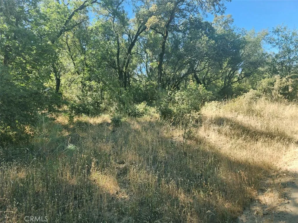 48 Rices Texas Hill Road Oregon House, CA 95962 - Photo 10 of 21 a view of a yard