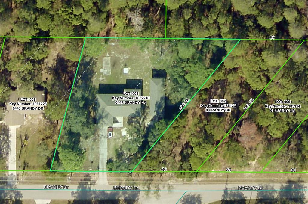 6447 Brandy Drive Spring Hill, FL 34607 - Photo 22 of 25