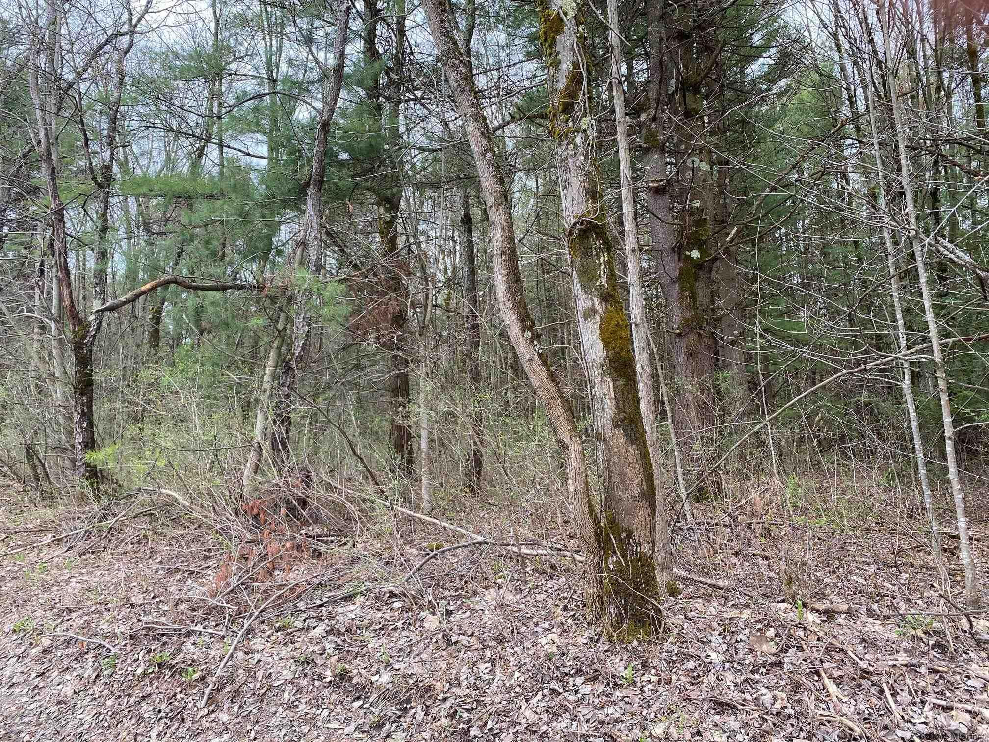 28 Anderson Road Sprakers, NY 12166 - Photo 2 of 4 Photo 2