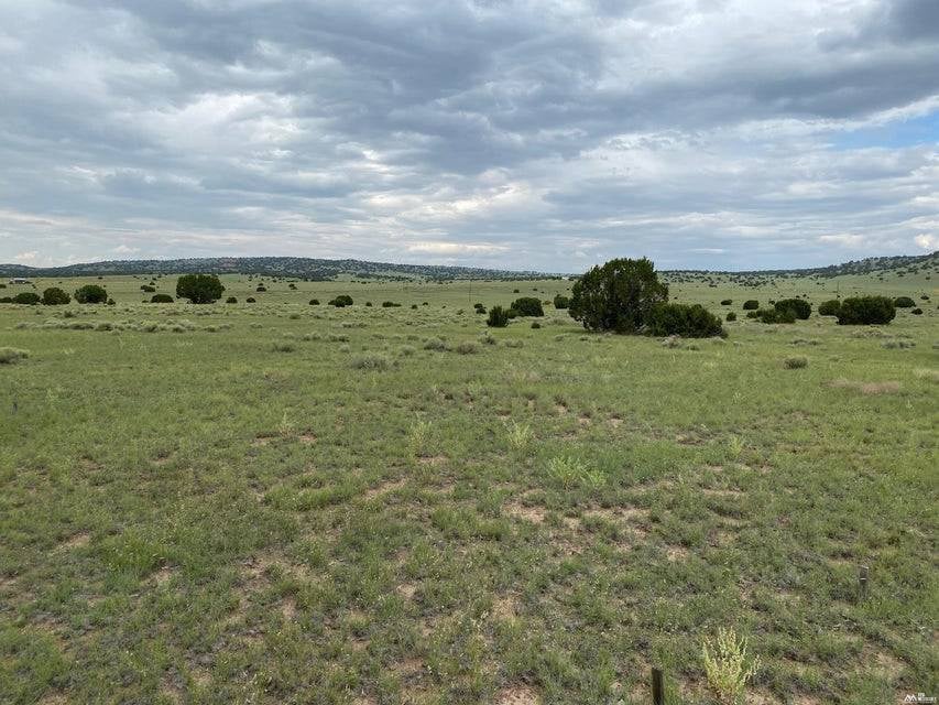 65 Old Ranch Road Quemado, NM 87829 - Photo 4 of 7 Gallery Image 4