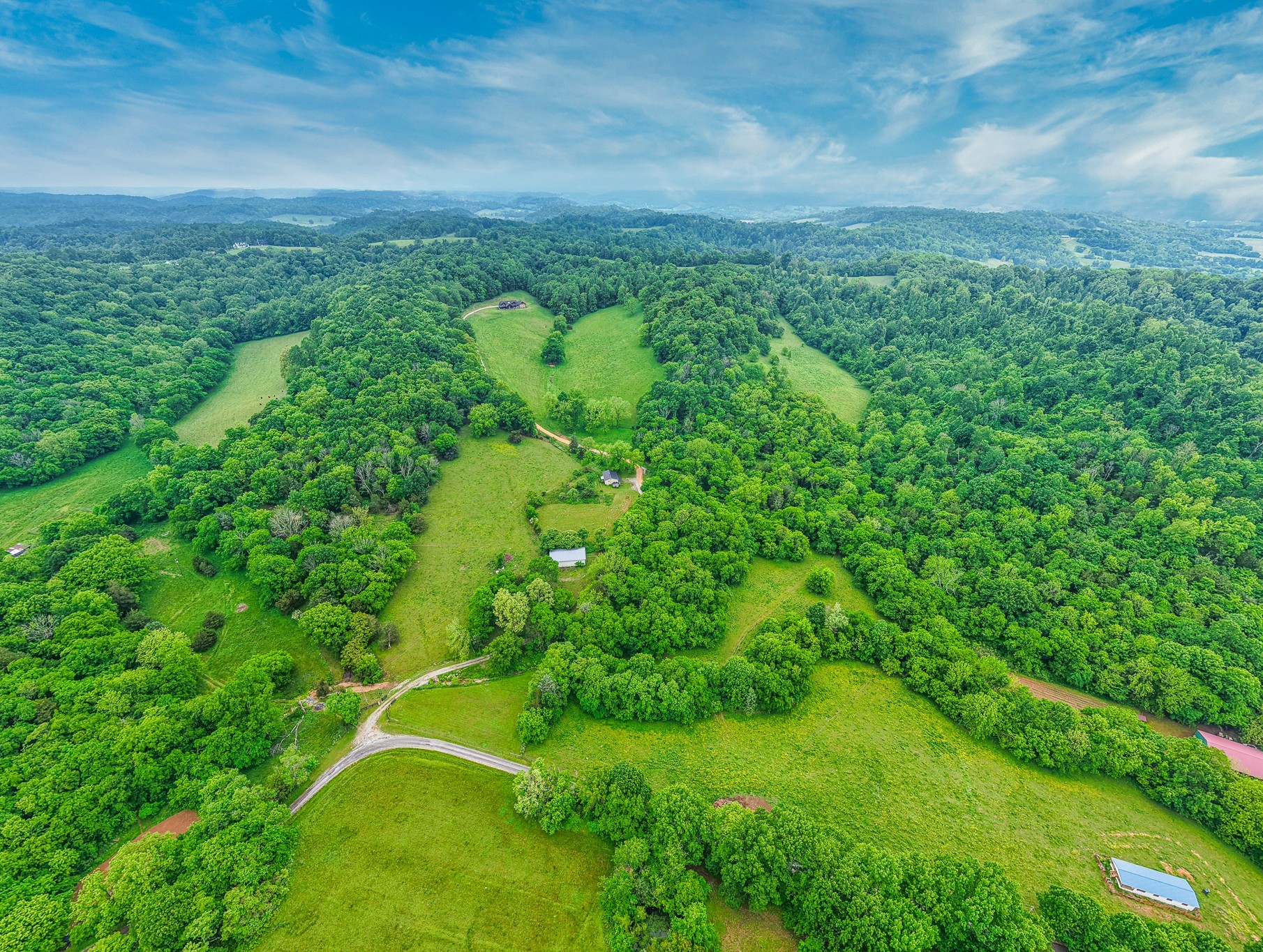 1271 Bivins Road Lewisburg, TN 37091 - Photo 5 of 56 a view of a big yard with large trees