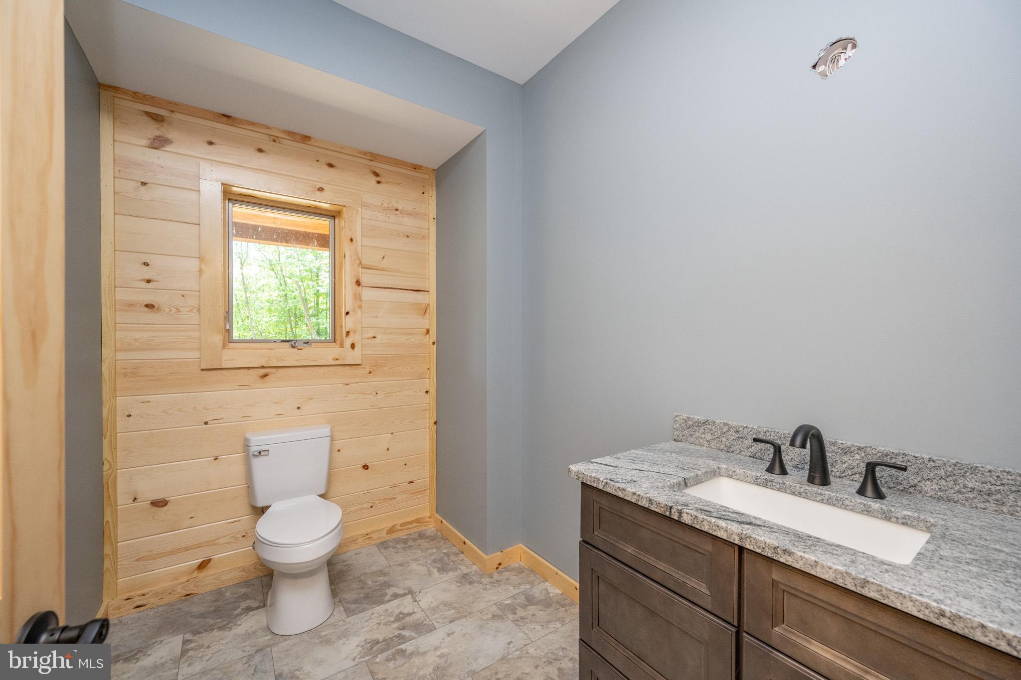 1333 Wisp Mountain Road McHenry, MD 21541 - Photo 28 of 59