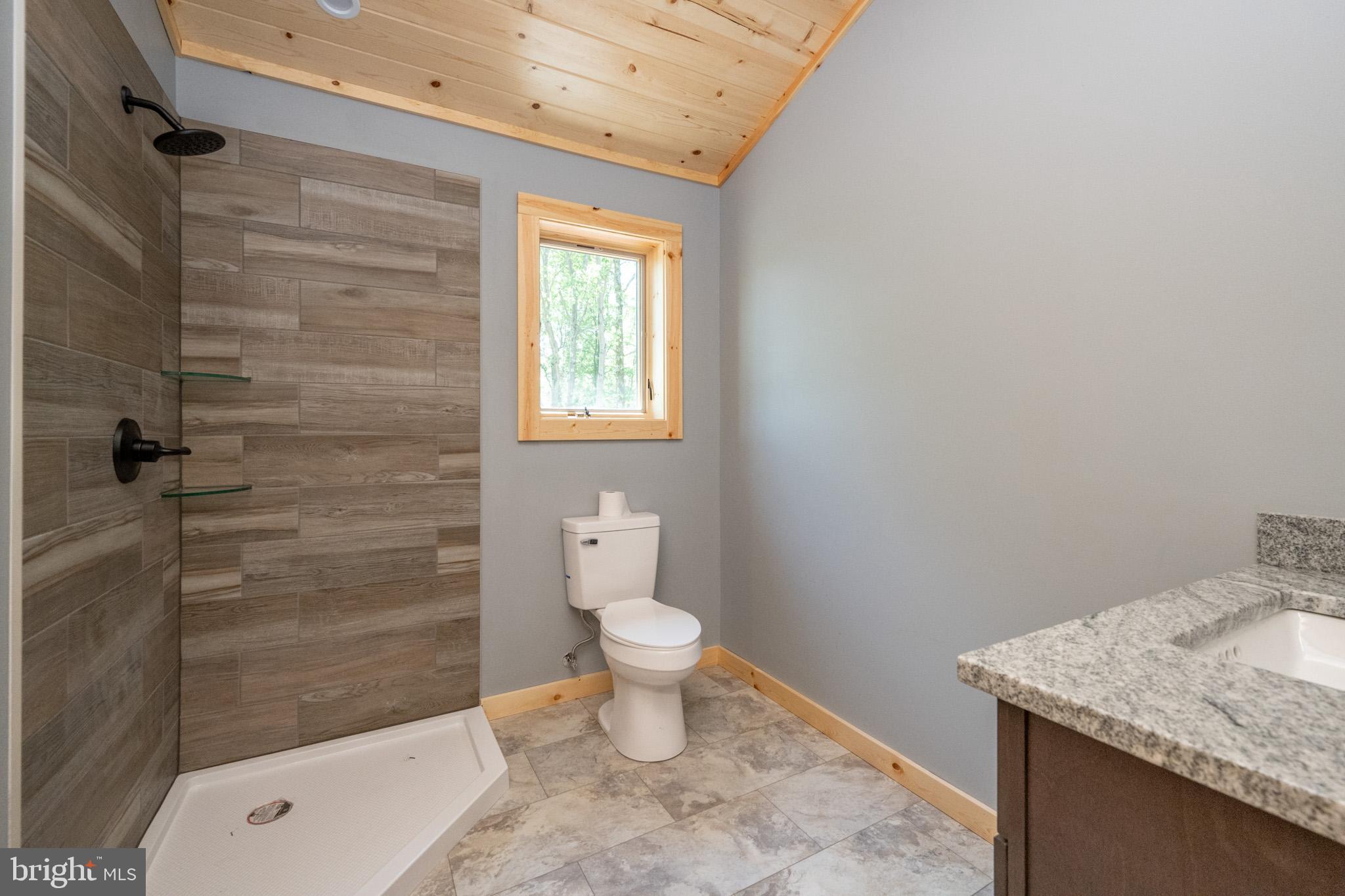 1333 Wisp Mountain Road McHenry, MD 21541 - Photo 33 of 59