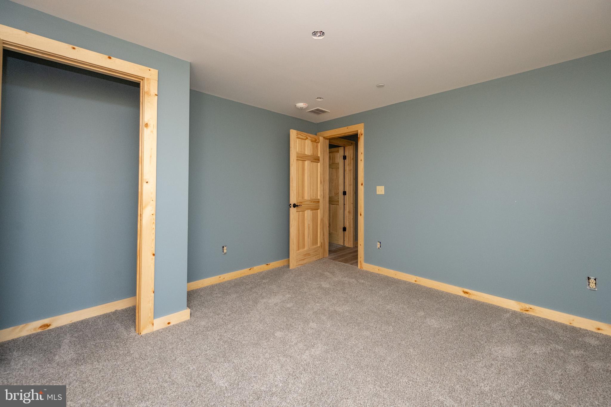 1333 Wisp Mountain Road McHenry, MD 21541 - Photo 54 of 59