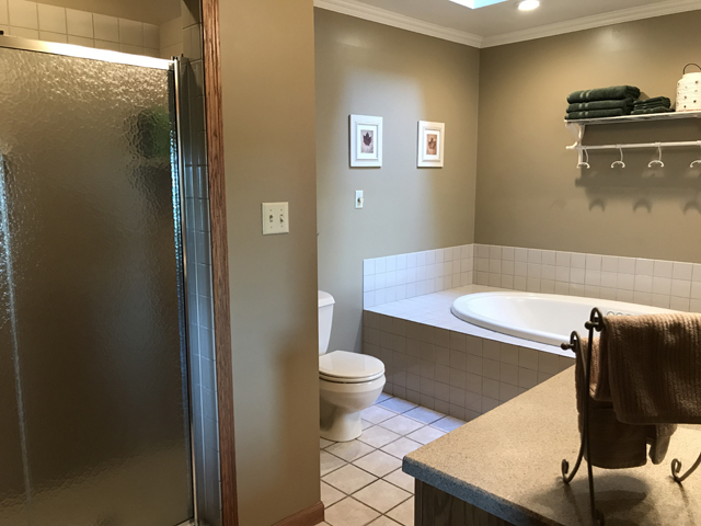 2115 East 875th Road Tonica, IL 61370 - Photo 19 of 41 a bathroom with a sink and a toilet